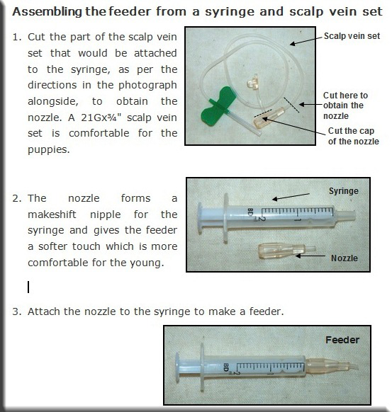 Devna Arora - Assembling a feeder from a syringe and scalp vein set for puppies